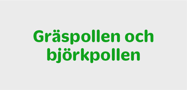 Gräspollen och björkpollen