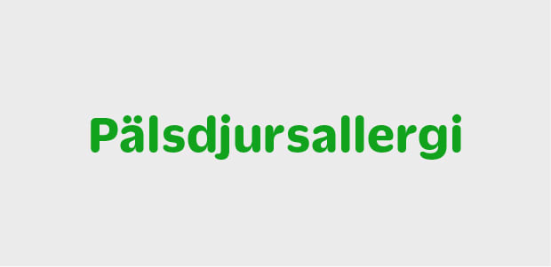Pälsdjursallergi