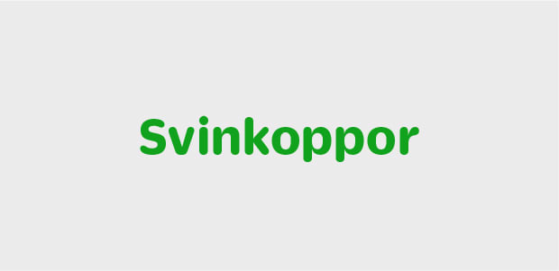 Svinkoppor