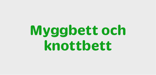Myggbett och knottbett