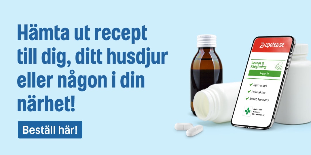Hämta ut recept till dig, ditt djur eller någon i din närhet här!