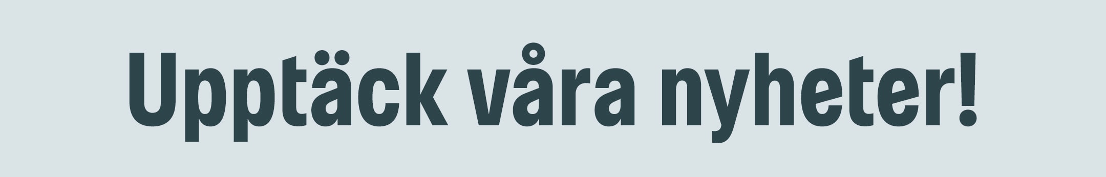 Upptäck våra nyheter!