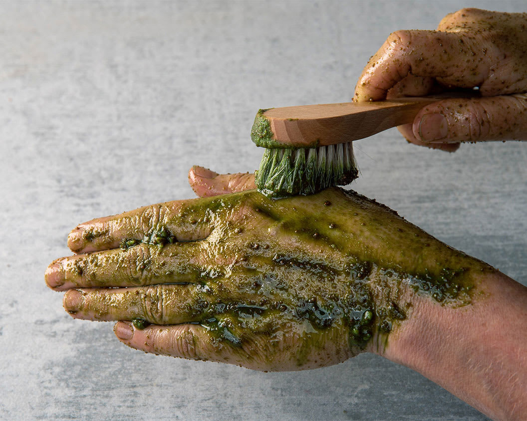 Ingredienser för matchaskrubb