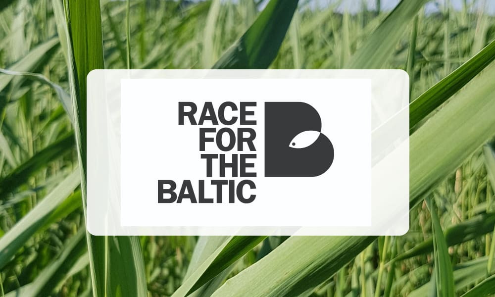 Race For The Baltic